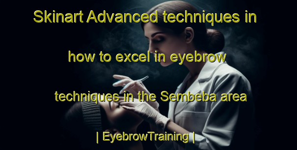 Skinart Advanced techniques in how to excel in eyebrow techniques in the Sembeba area | EyebrowTraining | EyebrowClasses | SkinartTraining-the Democratic Republic of the Congo